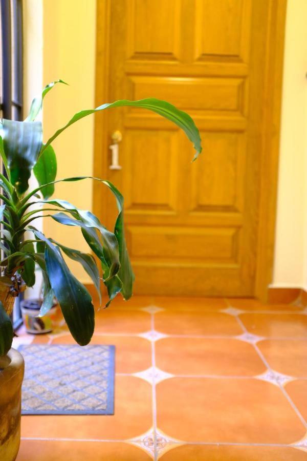 Pozzito Boutique Panzió San Miguel de Allende Kültér fotó