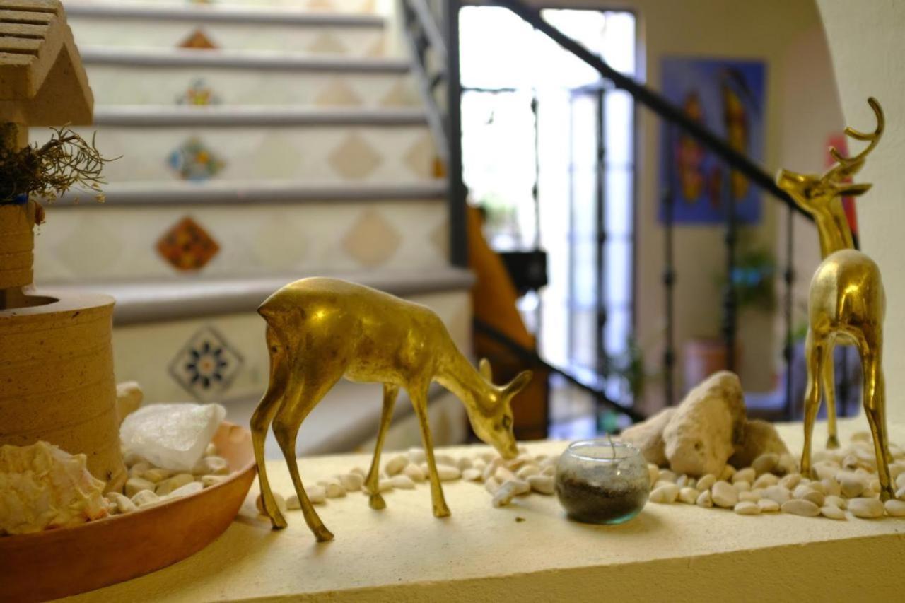 Pozzito Boutique Panzió San Miguel de Allende Kültér fotó