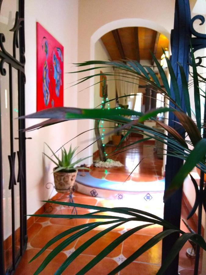 Pozzito Boutique Panzió San Miguel de Allende Kültér fotó
